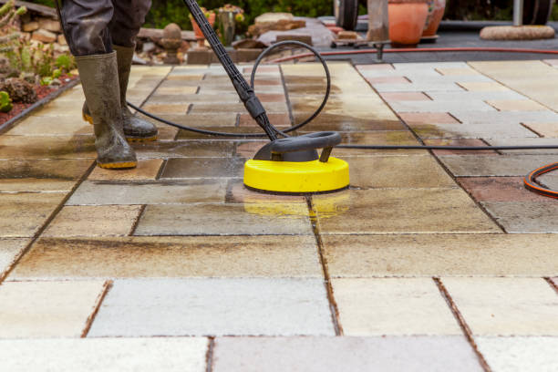Best Animal Enclosure Cleaning  in Castroville, TX